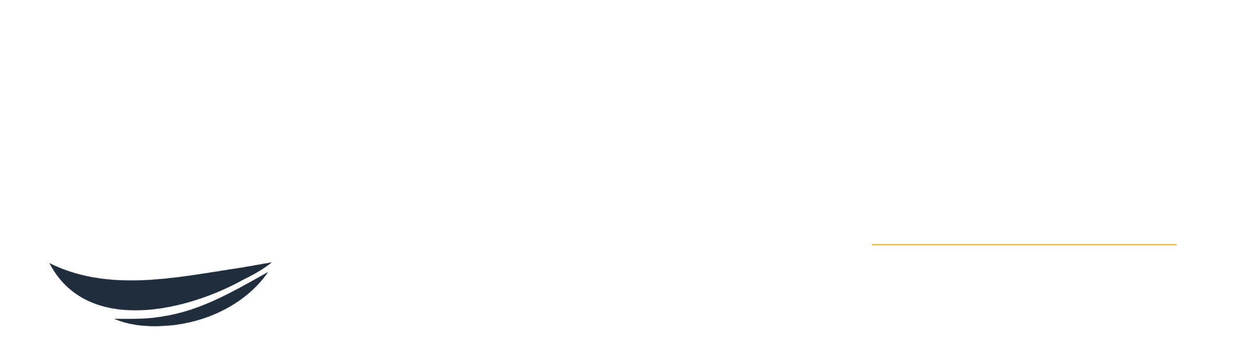 Logo Footer